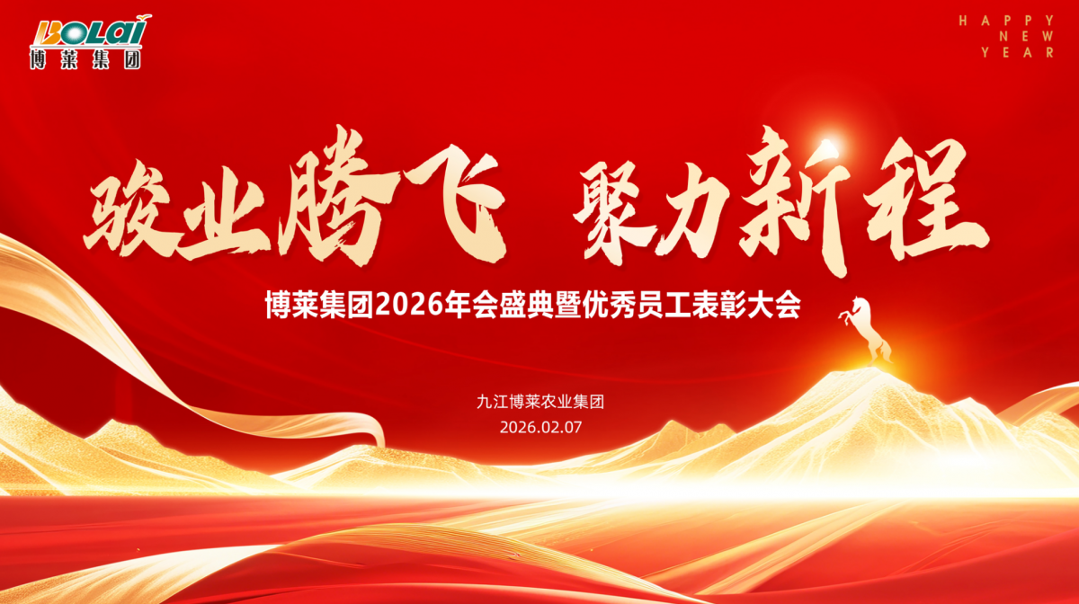 江西w66来利集团2025年度总结表彰暨2026新春年会圆满举行