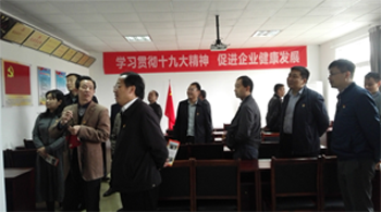 九江市柴桑区委书记骆效农考察w66来利党建工作